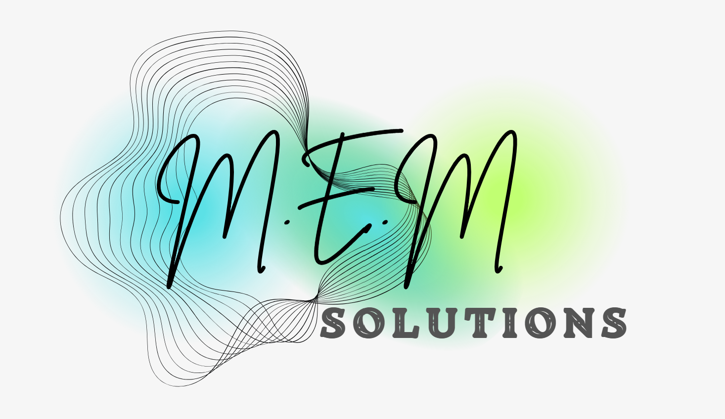 L'équipe M.E.M SOLUTIONS